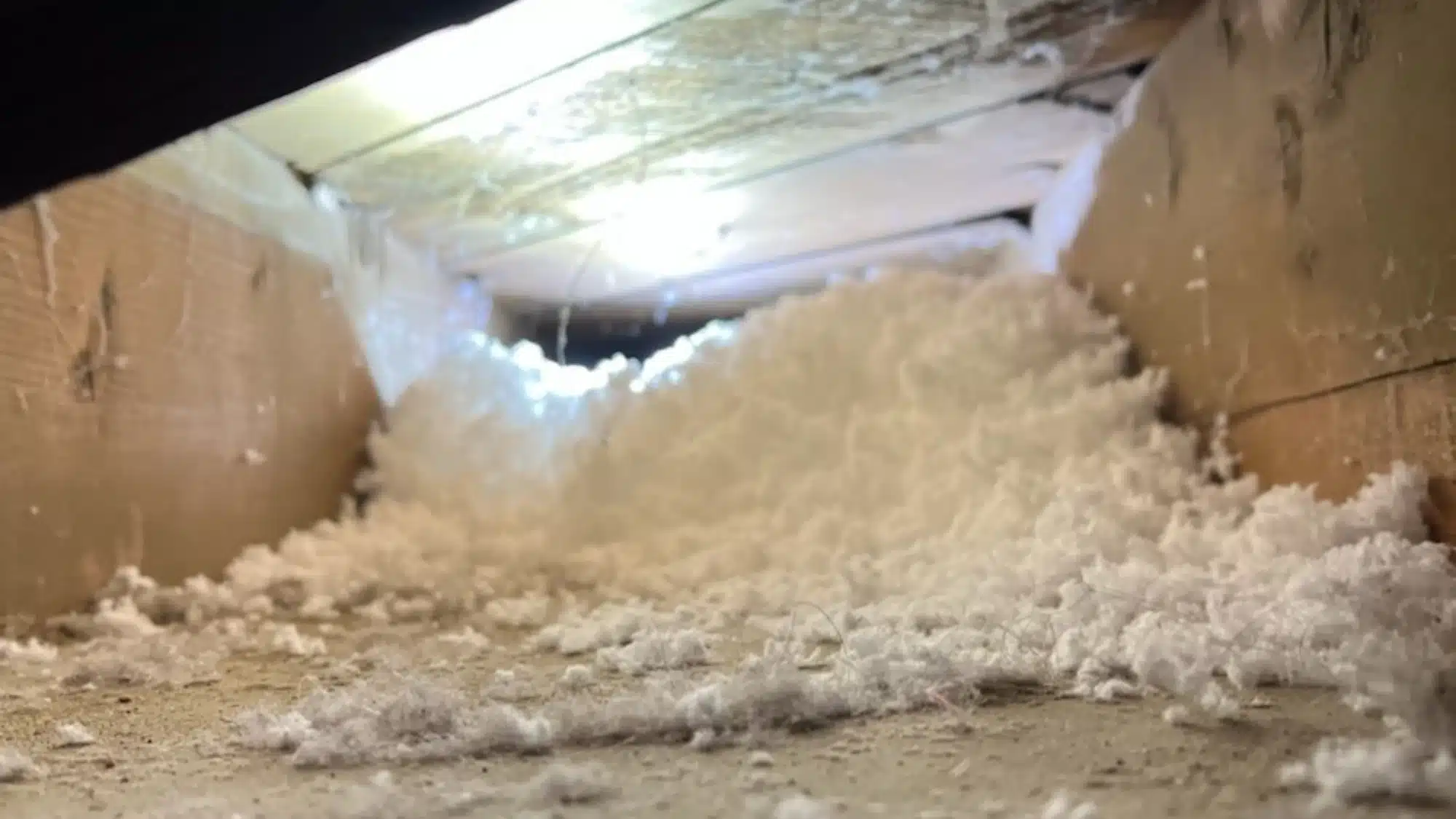 how-do-air-ducts-get-dirty-common-sources-of-dust-and-contamination Close-up of a visibly dirty air duct interior showing accumulated dust, mold, and debris.